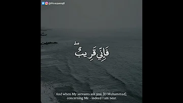 عمير شميم سورة البقرة واذا سالك عبادي عني فاني قريب 
