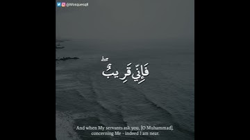 عمير شميم - سورة البقرة || واذا سالك عبادي عني فاني قريب