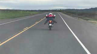 Stock 2022 Honda Monkey Top Speed 65 miles per hour