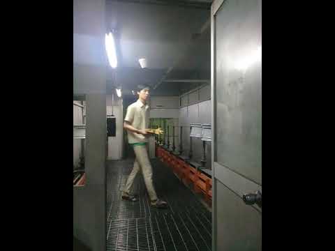 PENGALAMAN KERJA DISALAH SATU PABRIK PEMBUATAN PELEK PENGALAMAN KERJA DISALAH SATU PABRIK PEMBUATAN PELEK