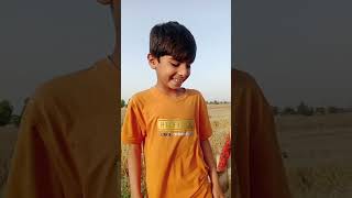Children Enjoying at Pakistani Punjab Village Life, Wheat Crop is Ready