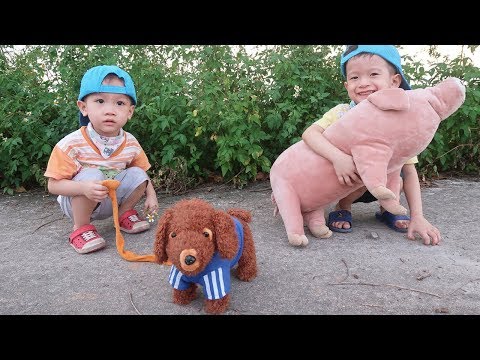 Đồ Chơi Baby Fun ❤️ Trò Chơi Chó Con Phiêu Lưu Ký ❤️ Gia Đình Baby Shark | Foci