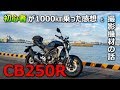 【初心者ライダー】1000㎞乗った感想と撮影機材紹介【CB250R】