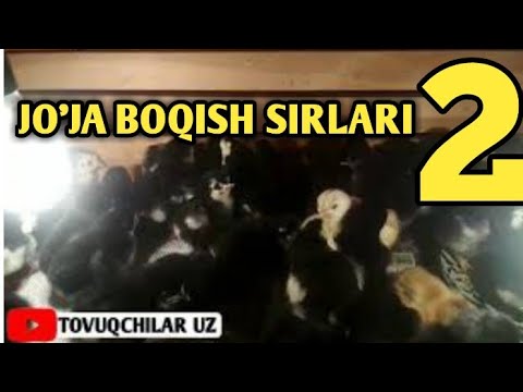 Overwatch-dan yalangoch farishta GIF-lari