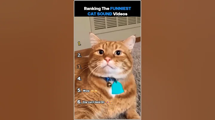 Video 8510401: cat sound cutecat, cat cutecat funny, sounds cats funniest