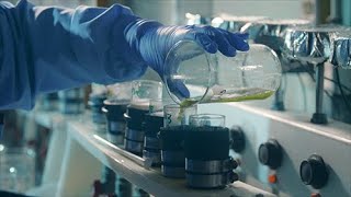 Dairyland Laboratories Lab Overview