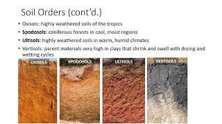 Soil Classification and Survey