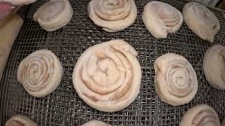 How Scotty's Donuts makes their locally famous cinnamon rolls for the last 35 years in business!