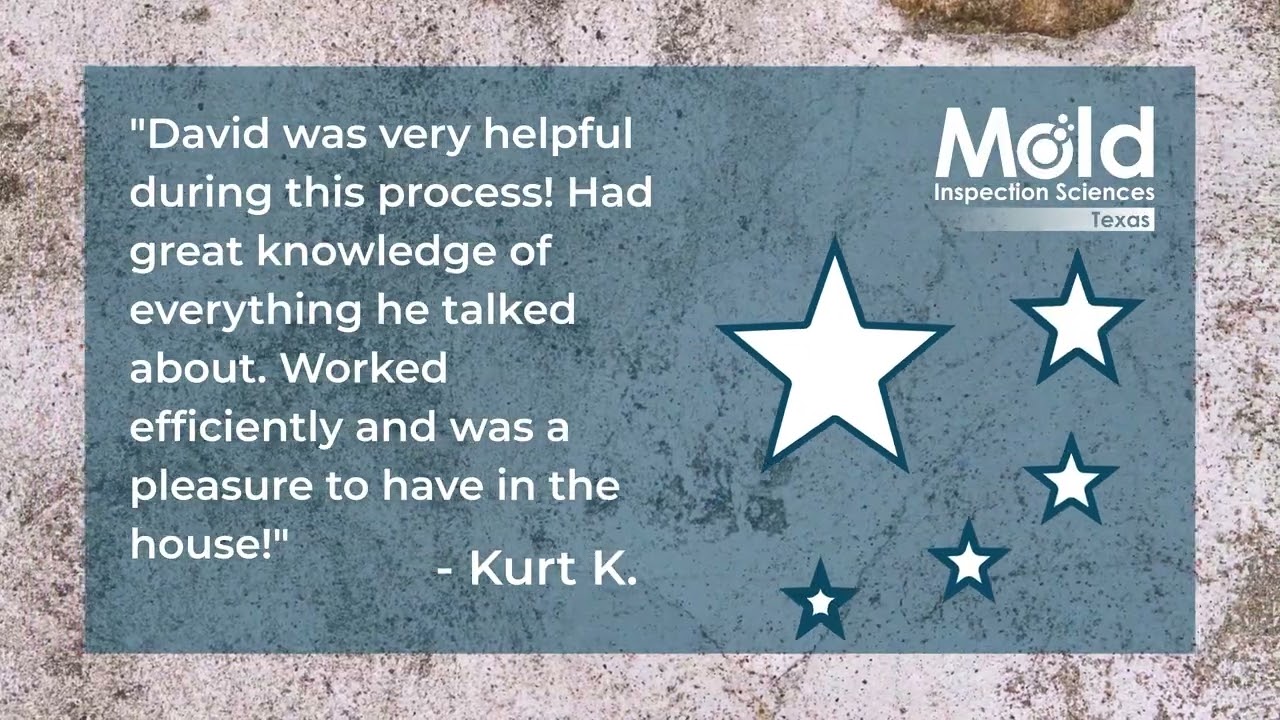 Efficient Mold Inspections Without Compromising Quality or Service