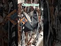 Western purses and restocked bags on the website!🌵⚡️ #youtube #youtubeshorts #shorts #western #tube