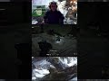 Сладкое чувство. Я один смаковал этот моментWarhammer 40000: Space Marine 2 При поддержке моего кота