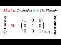Matrices cuadradas: Clasificación y Características