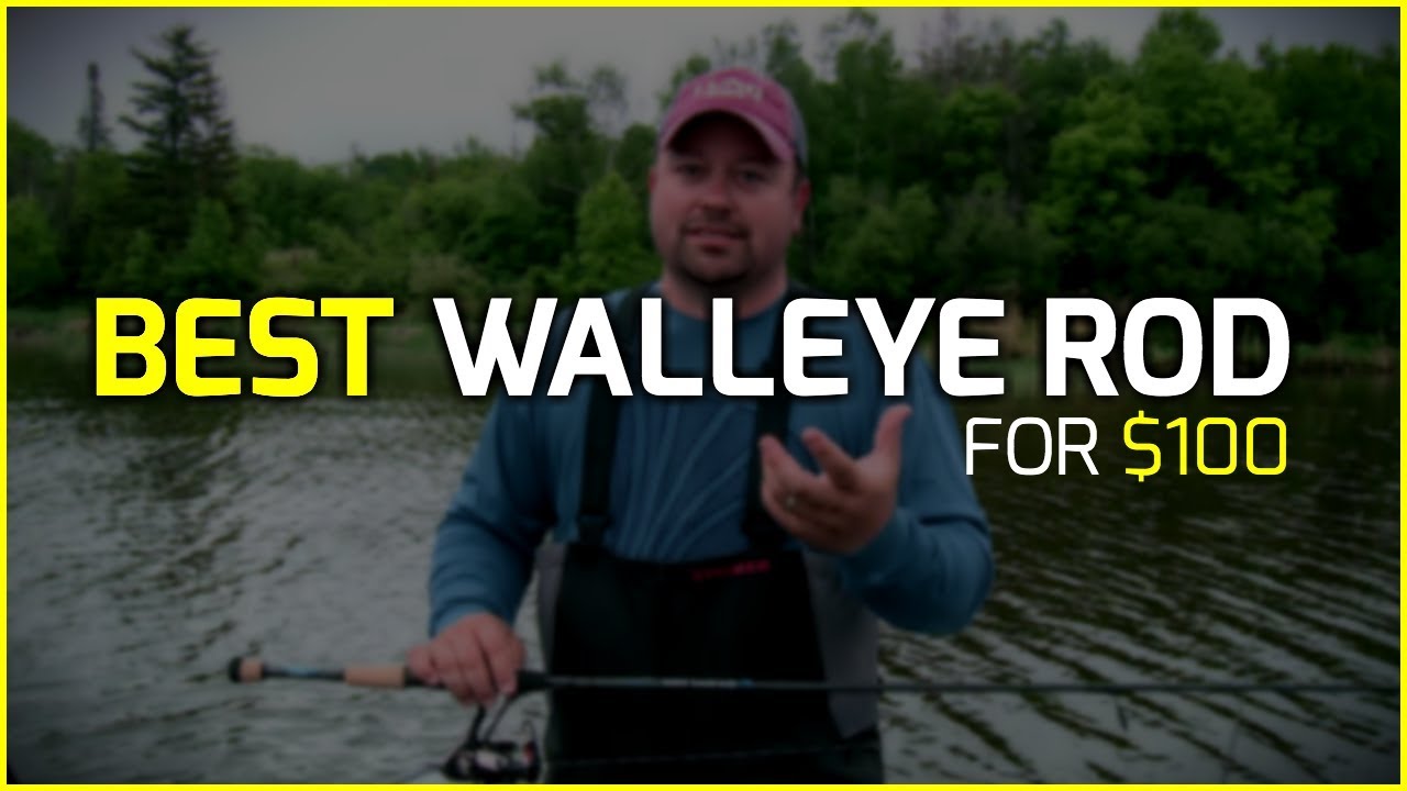 Best Walleye Rod for $100??? 