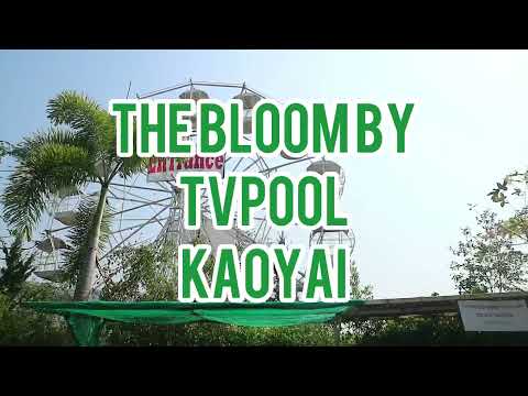 The Bloom by Tvpool Kaoyai