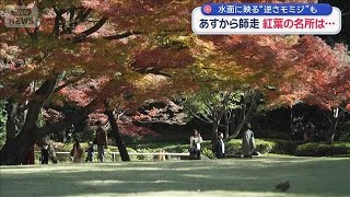 あすから師走　紅葉の名所は…　水面に映る“逆さモミジ”も【スーパーJチャンネル】(2025年11月30日)