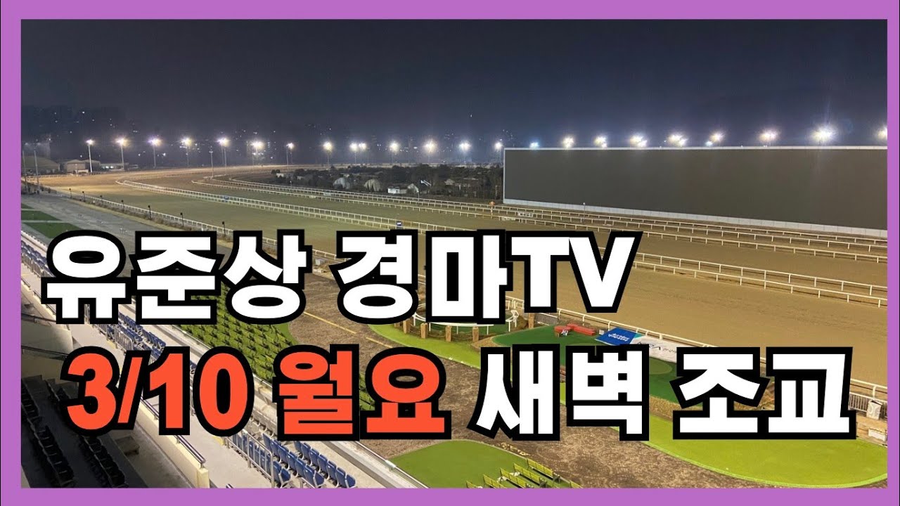 유준상 경마 TV 3/10 월요 새벽조교 경마 실황방송