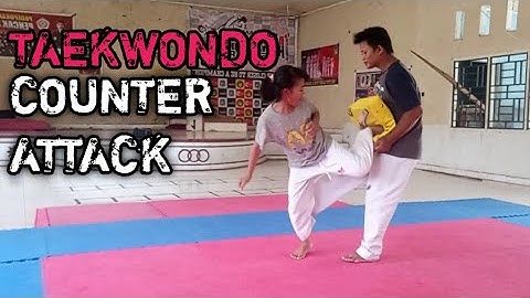 TAEKWONDO COUNTER ATTACK