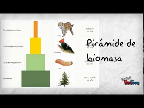 estufas biomasa.es