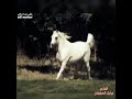 يامدور عيوب خلق الله. مبارك الحجيلان