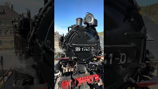 Steam Weisseritzerbulle #lössnitz #steam #train #germany #mountains #deutschland #dampflok #saxony