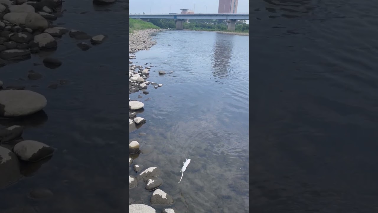 Fishing #lurefishing