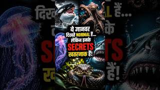 Famous Animals With Dark Secrets 😳 Dangerous Facts #shorts Wealth
