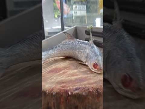 Threadfin Fish Clean Skills Video#shorts