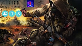 ВЕЧЕРНИЙ СТАЛКЕР ᐅ S.T.A.L.K.E.R.: Тень Чернобыля [OGSE] #13.