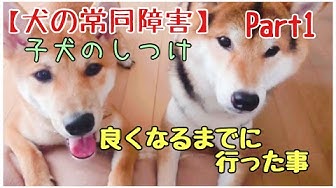 常同行動 Youtube
