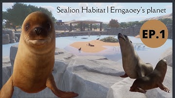 California Sea lion Habitat | Planet zoo | Erngaoey