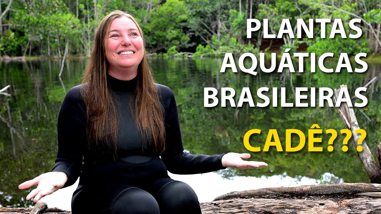 VOCÊ TAMBÉM IGNORA ESSAS PLANTAS? | Desafio aos Aquapaisagistas do Brasil