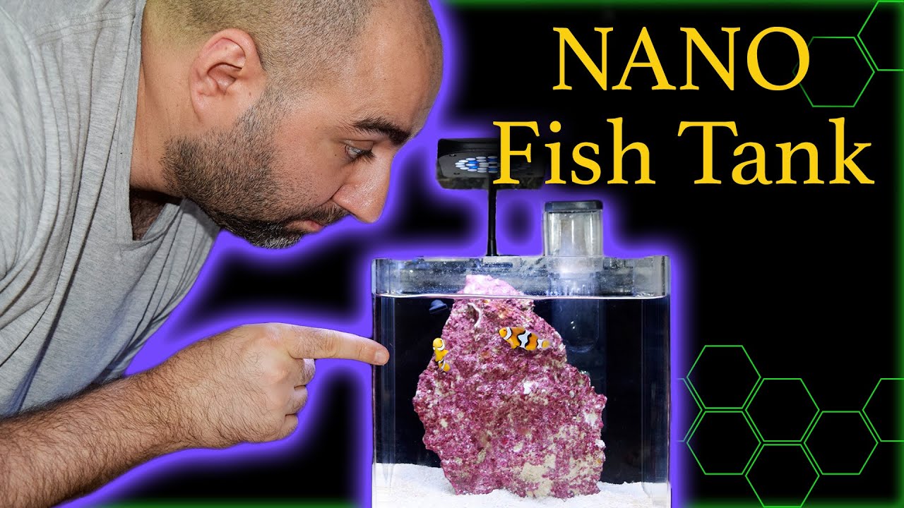 [AR] #Nano Fish Tank Salt water -  نانو حوض سمك مالح