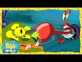 Bob Esponja | Seu Sirigueijo contra o Monstro Verde! | Nickelodeon | Bob Esponja em Português