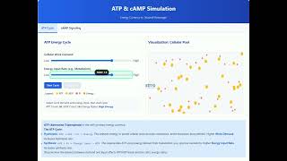 Learn ATP & cAMP Simulation | Pharmacy Tutorial | Medical Education