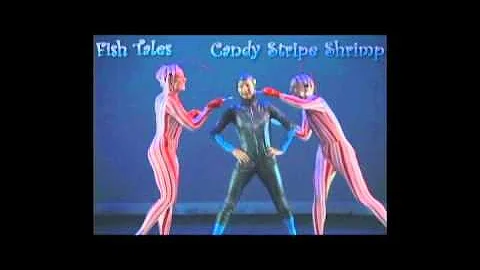 Fish Tales - Candy Stripe Shrimp
