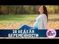 20 Двадцатая неделя беременности! Экватор!