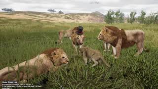 Animalia Survival First Experience As Lion