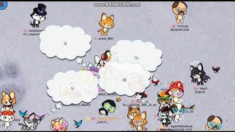 Meow playground first video