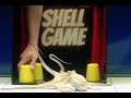 Octopus vs man  the shell game  object permanence experiment