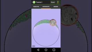 LETS PLAY : Cell Lab