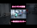 カットマンの逆襲