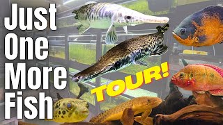 Just One More Fish Tour