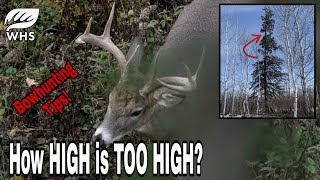 Best Treestand Height For Bowhunting