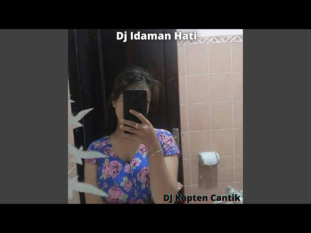 Dj Idaman Hati class=