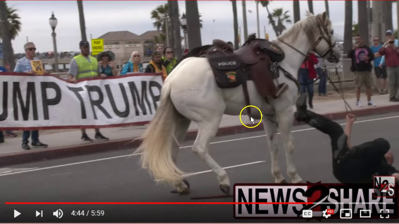 Horse Gets Spooked or Something & Bucks Into Car & Police Rider Falls Off