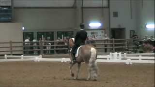 Starwars tof and i at the idaho dressage festival showing this year's
gp freestyle. thanks again to steve trembley for editing, mixing,
processing my mus...