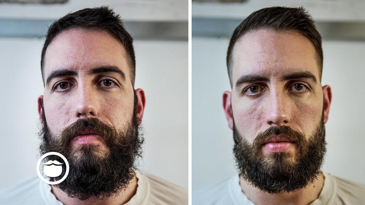 Should You Grow a Long Beard? – Beardbrand