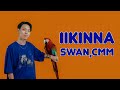 SWAN, CMM - IIKINA
