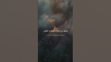 وهو الذي يقبل التوبة عن عباده | ماهر المعيقلي - من سورة الشورى