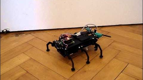 Kitrobot Robot Insecto RI2